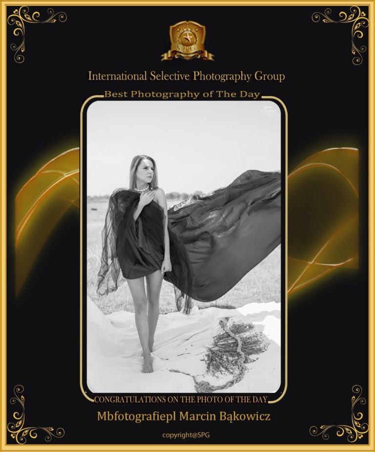 Awards — zdjęcie 026